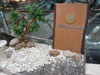 A photo of Oishi Grand - Siam Discovery