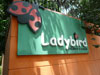 A photo of Ladybird Children's Center