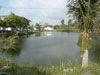 A photo of Fluk Fishing Park
