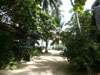 A photo of Haadgruad Beach Resort