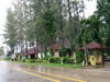 A photo of The Delight Pine Tree Village
