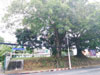 A photo of Office of the Auditor General of Phuket