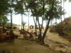 A photo of Nui Beach