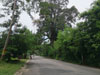 A photo of Pa Lian Road