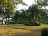 A photo of Chaloem Phrakiat Park