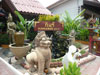 Logo/Picture:Kinnaree Resort
