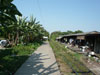 タイ国鉄 - バンボーンの写真