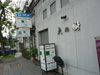 大の樹 - ランスアンの写真