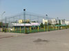 A photo of Tawanna Futsal