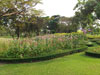 A photo of Queen Sirikit Park