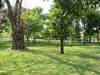 ロムニナート公園の写真