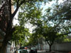 A photo of Convent Road