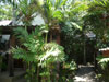 A photo of 15 Palms Resort