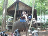 A photo of Ban Kwan Chang Elephant Camp