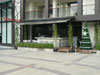 ภาพของ คาเฟ่ ทวิต - พัทยา ซิตี้ วอล์ค
