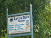 A photo of Lotus Diving