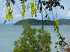 A photo of Ngam Island