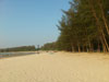 A photo of Nai Yang Beach