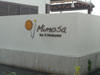 Logo/Picture:Mimoza Resort & Spa