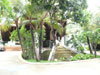 A photo of Muang Samui Spa Resort