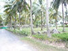 A photo of Am Samui Resort Taling Ngam