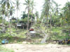 A photo of Thongtip Garden Home